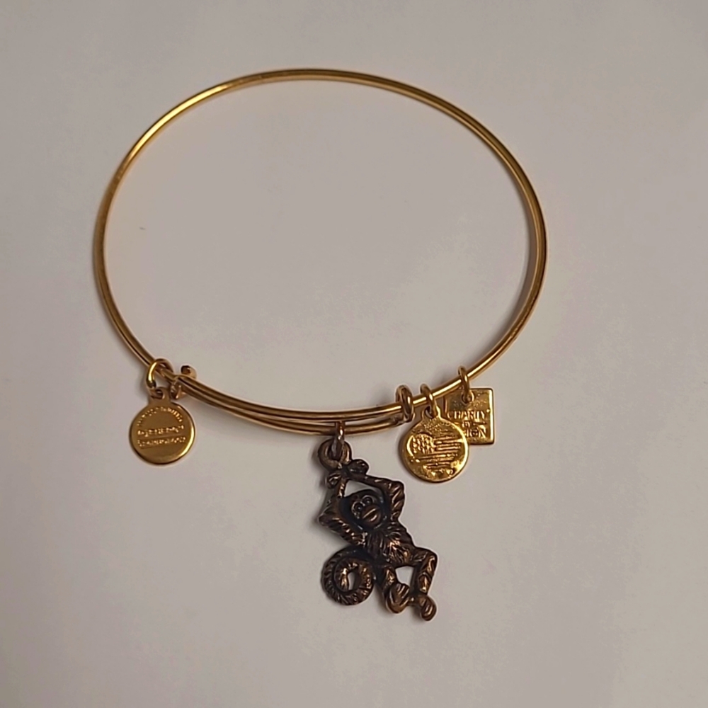 Alex and Ani monkey bracelet